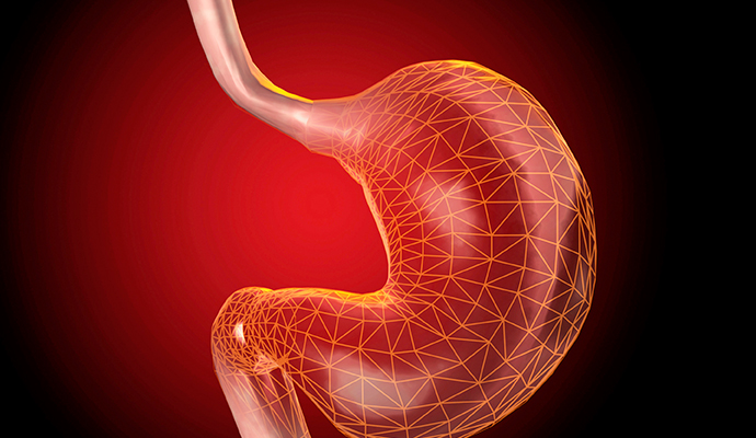 �ĵ�, ��, �������� ��ȯ